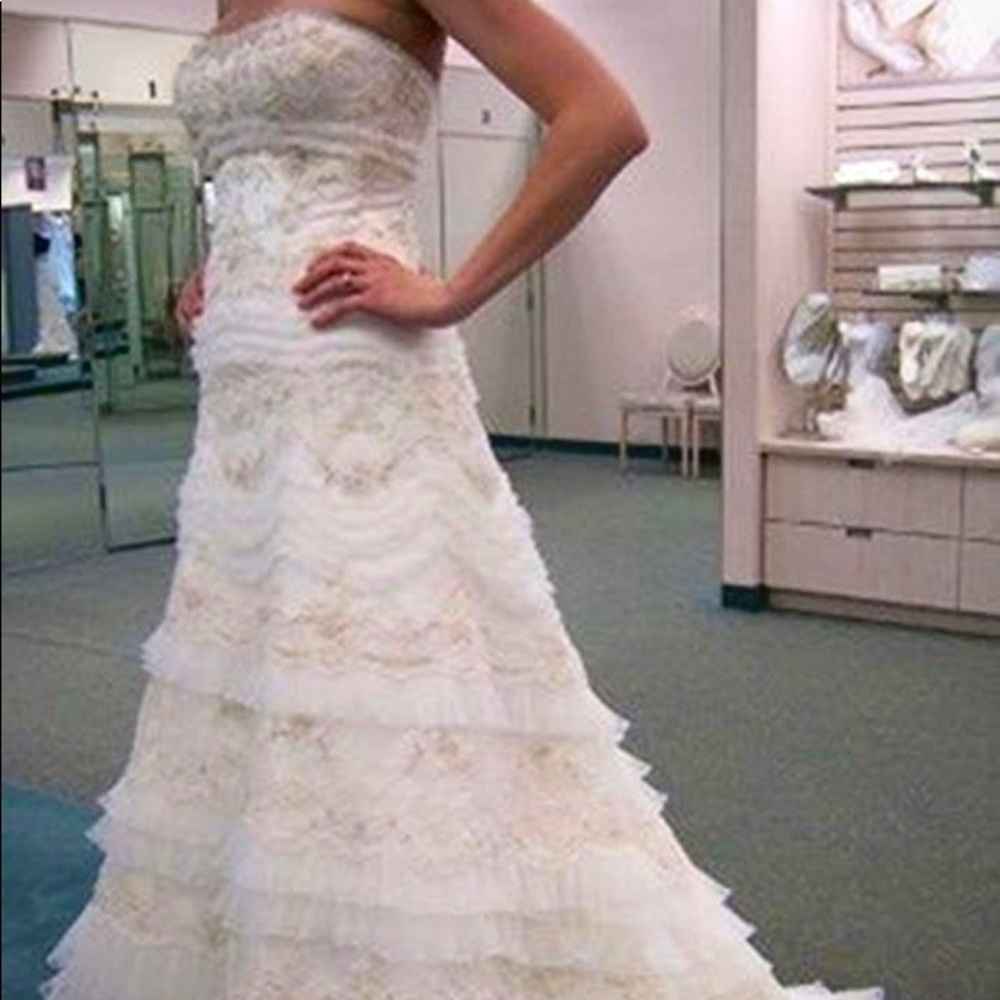 Wedding gown, veil, bustier and preservation kit